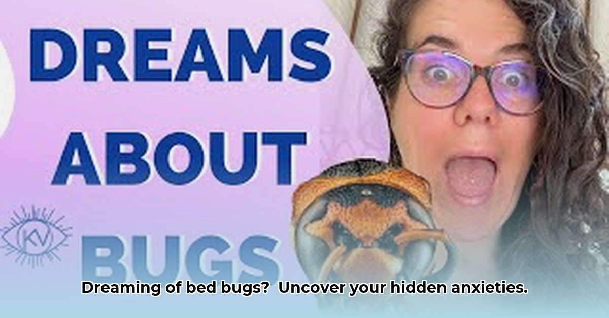 bed-bugs-in-dream